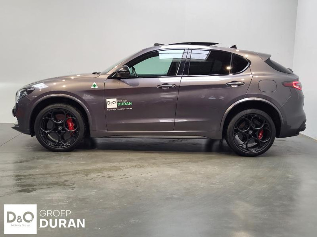 41394164-1.jpg