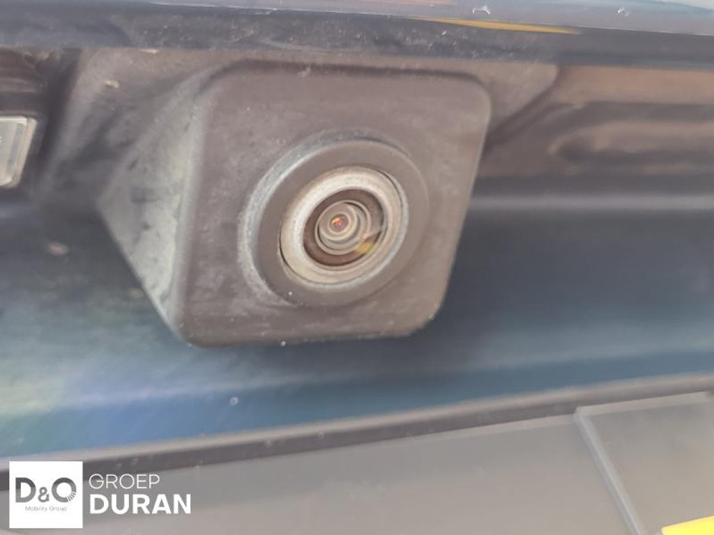 50009521-3.jpg