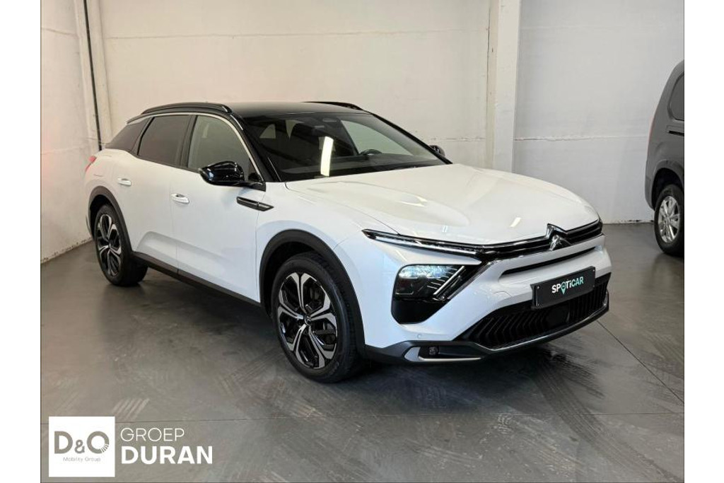 51510785-2.jpg