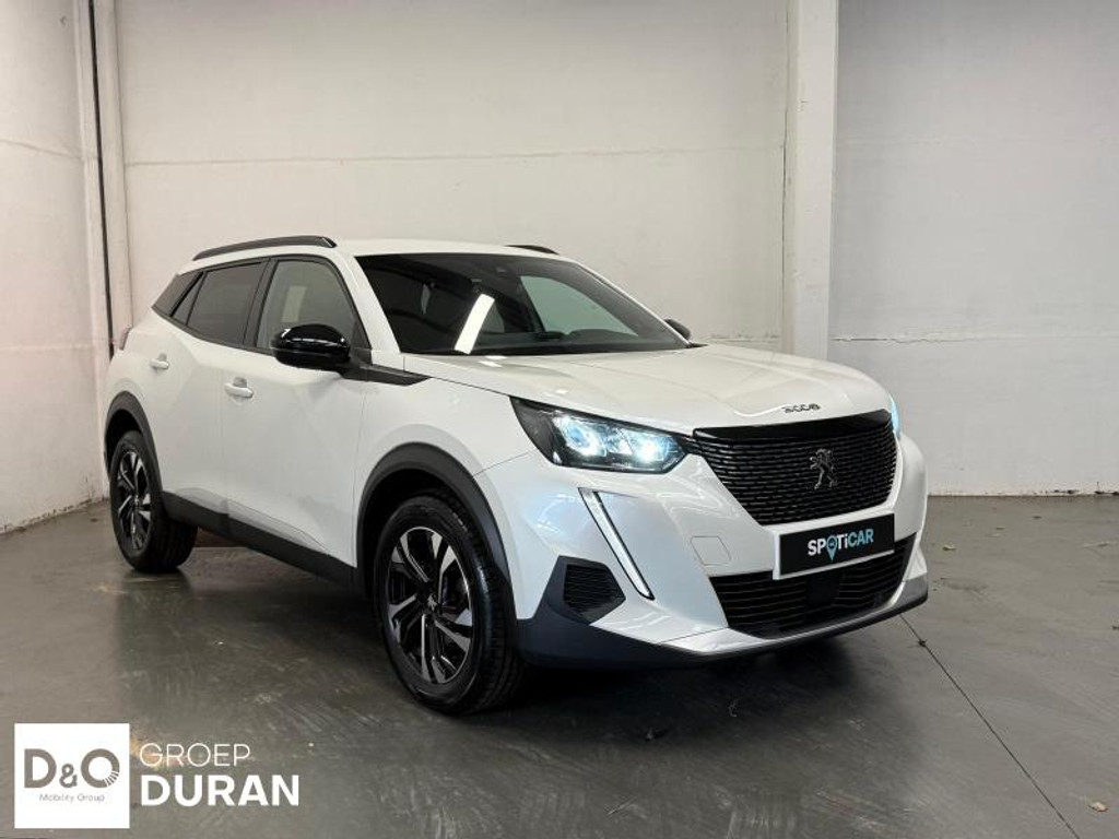 53416481-2.jpg