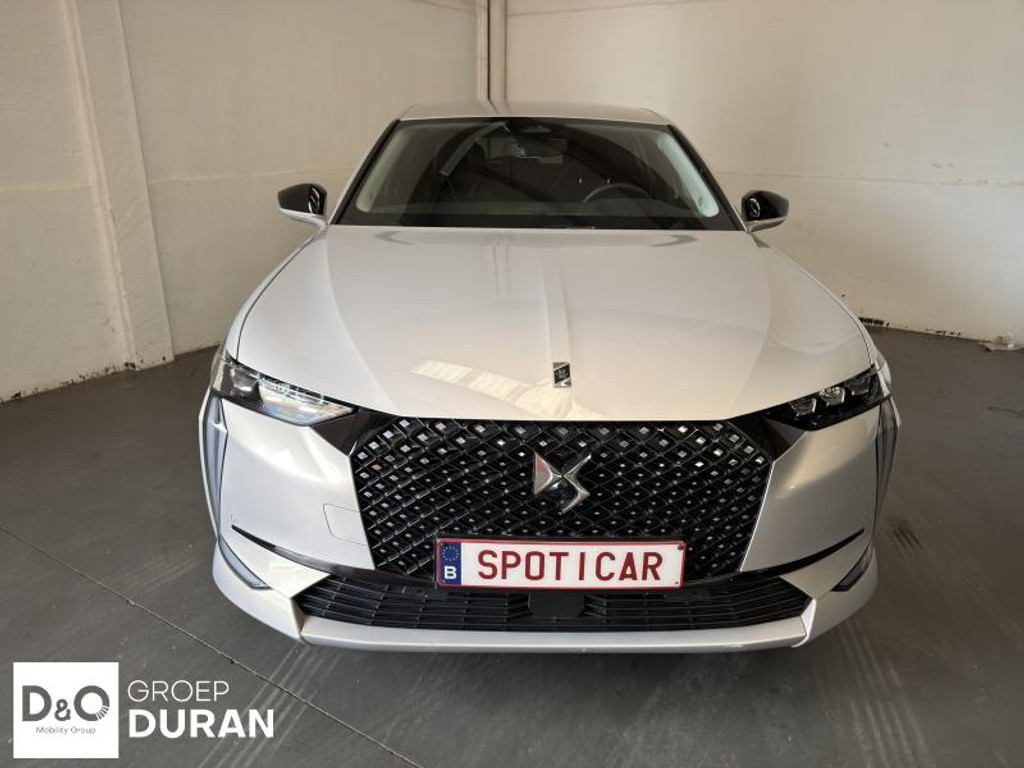 54935396-2.jpg