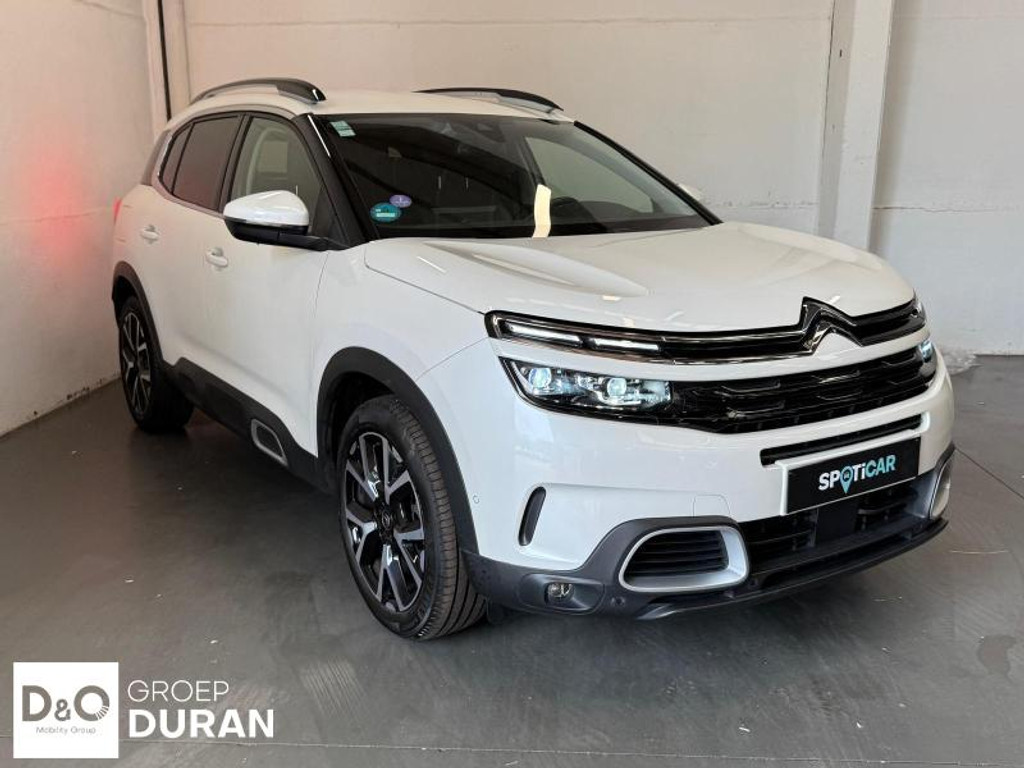 56422947-2.jpg