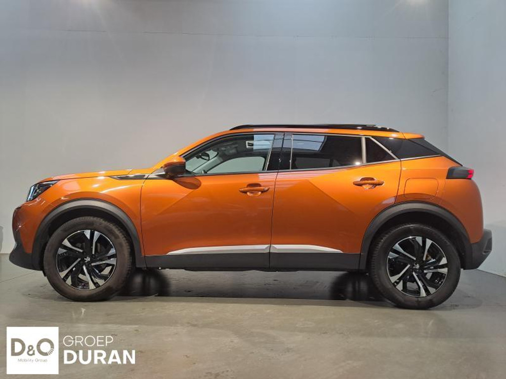 57498416-1.jpg